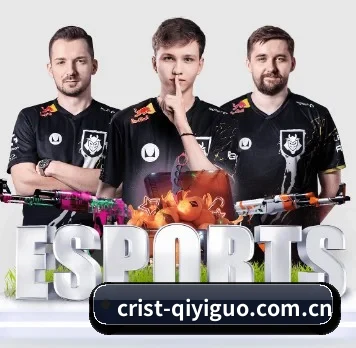 AI 革新（QY Sports）